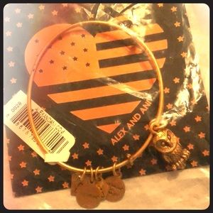NEW Alex and Ani Bracelet - Ode to the Owl, RG